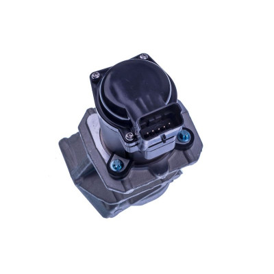 DENCKERMANN VALVULA EGR