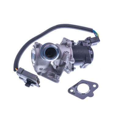 DENCKERMANN VALVULA EGR