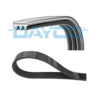 DENCKERMANN CORREIA DE ACESSORIOS