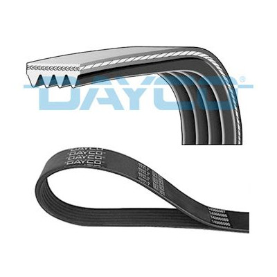 DENCKERMANN CORREIA DE ACESSORIOS