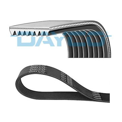 DENCKERMANN CORREIA DE ACESSORIOS