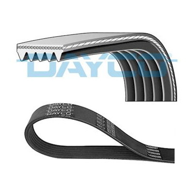 DENCKERMANN CORREIA DE ACESSORIOS