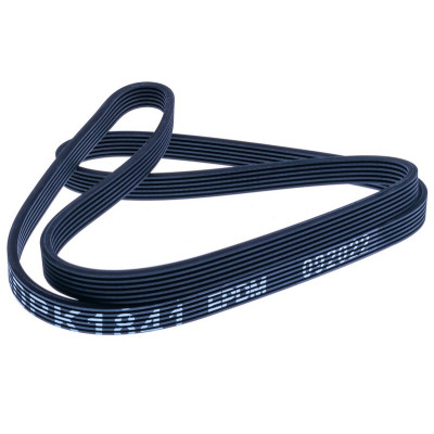 DENCKERMANN CORREIA DE ACESSORIOS