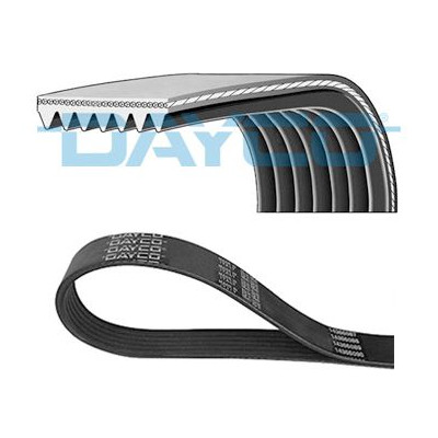 DENCKERMANN CORREIA DE ACESSORIOS