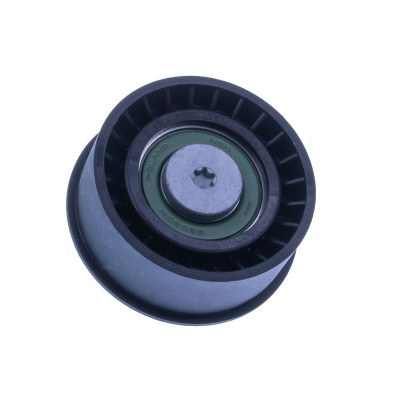 DENCKERMANN POLIA DE DESVIO CORREIA